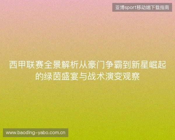西甲联赛全景解析从豪门争霸到新星崛起的绿茵盛宴与战术演变观察